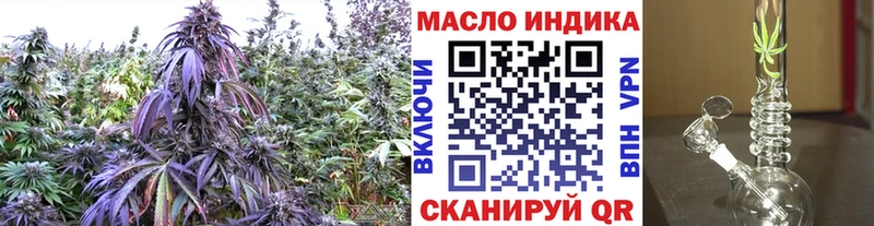 ТГК концентрат цена Сенгилей