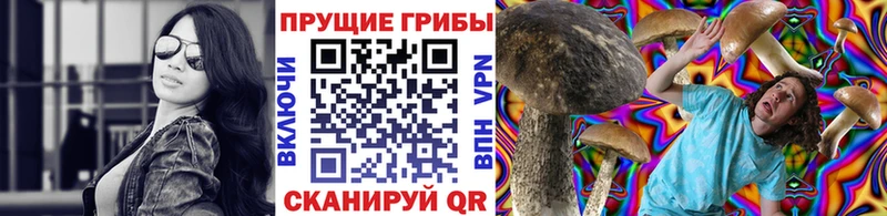 Галлюциногенные грибы мицелий  Сенгилей 